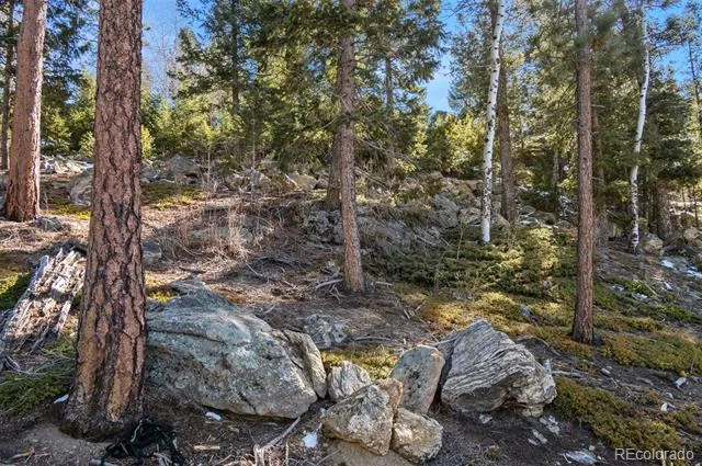 Granite Crag Circle Evergreen, CO 80439