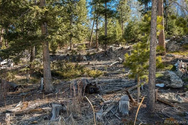 Granite Crag Circle Evergreen, CO 80439