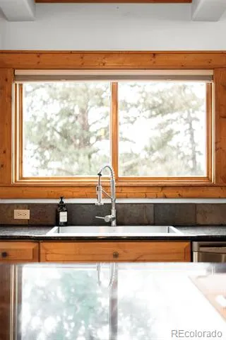 229 Mohawk Trail Pine, CO 80470