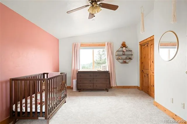 229 Mohawk Trail Pine, CO 80470