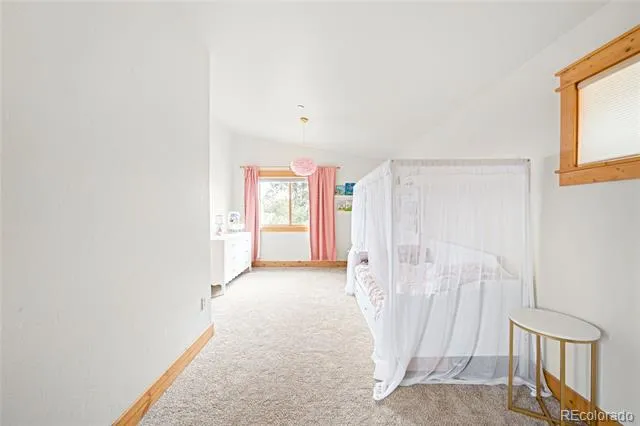 229 Mohawk Trail Pine, CO 80470