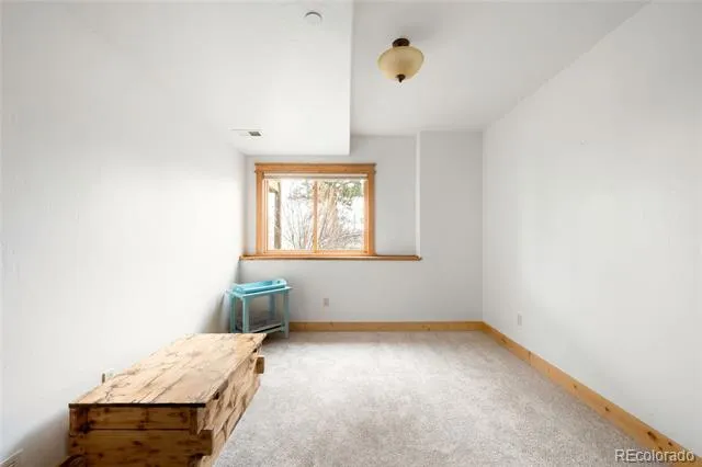 229 Mohawk Trail Pine, CO 80470