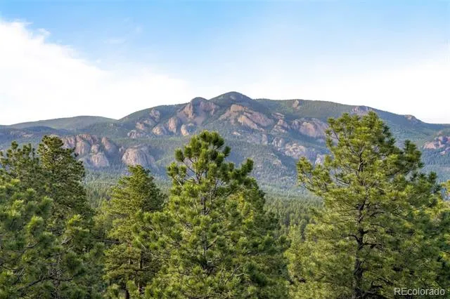 229 Mohawk Trail Pine, CO 80470