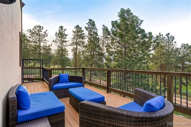 229 Mohawk Trail Pine, CO 80470