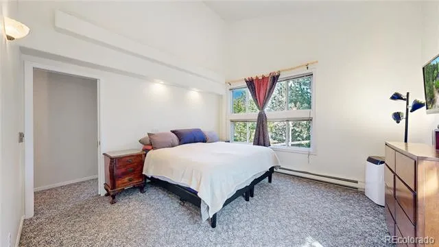 1295 Spruce Drive Golden, CO 80401
