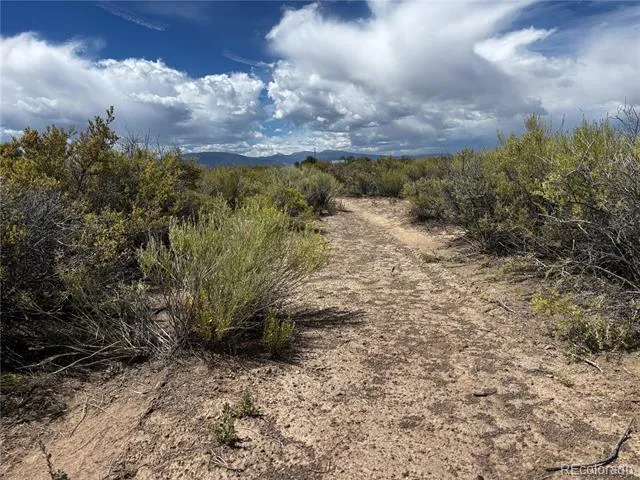 TRACT 4 BDL COUNTY ROAD 7 S Alamosa, CO 81101