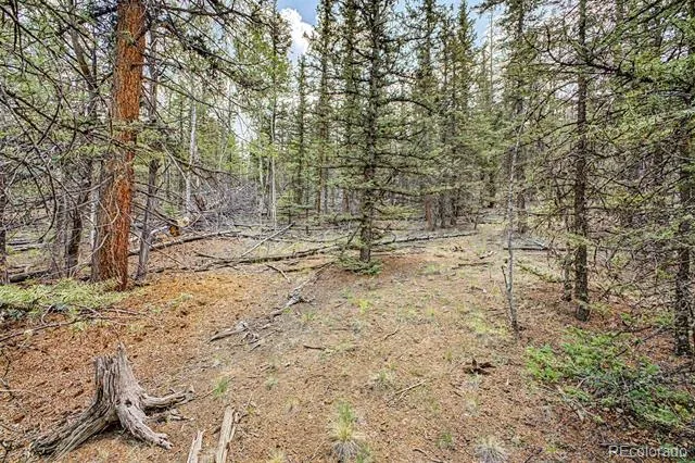 360 Palomino Drive Jefferson, CO 80456