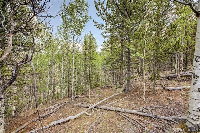 360 Palomino Drive Jefferson, CO 80456