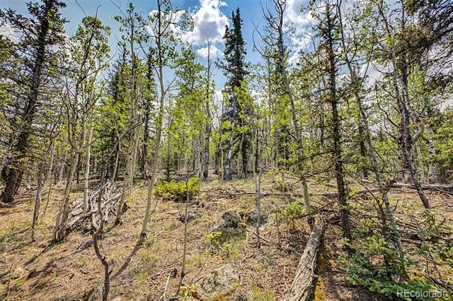 360 Palomino Drive Jefferson, CO 80456