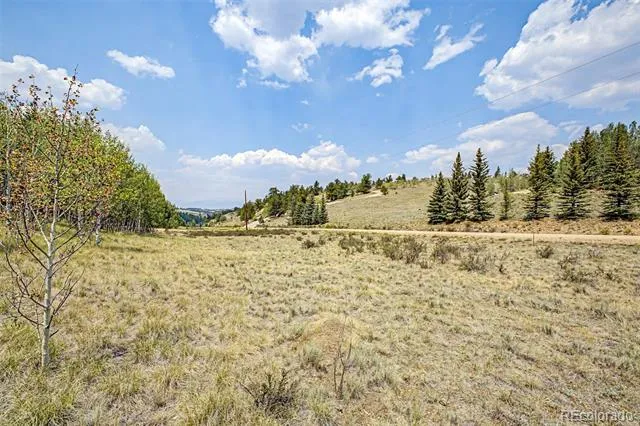 360 Palomino Drive Jefferson, CO 80456