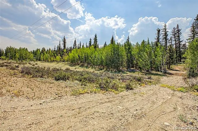 360 Palomino Drive Jefferson, CO 80456