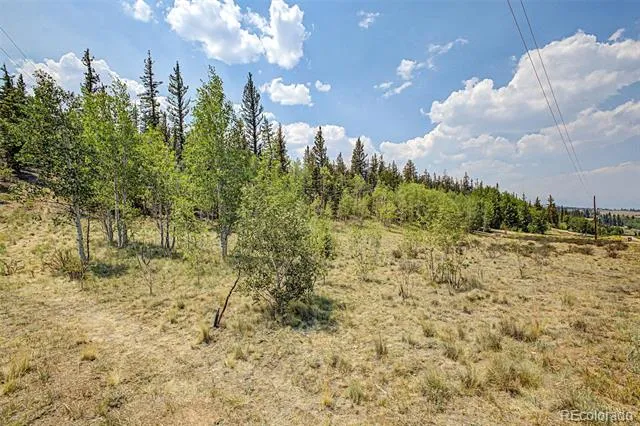 360 Palomino Drive Jefferson, CO 80456