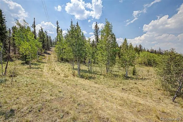 360 Palomino Drive Jefferson, CO 80456
