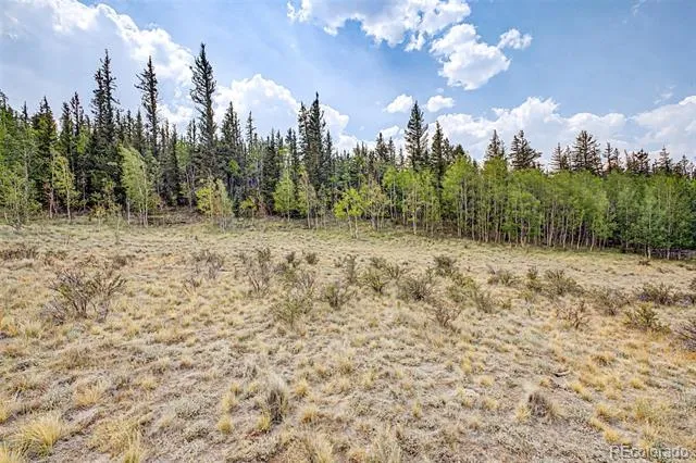 360 Palomino Drive Jefferson, CO 80456