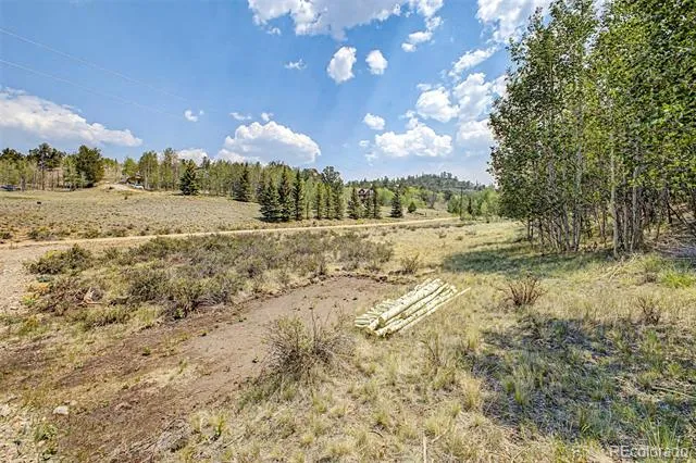 360 Palomino Drive Jefferson, CO 80456
