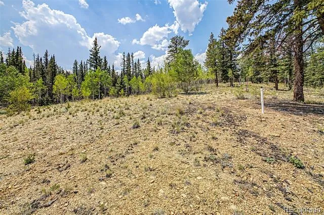 360 Palomino Drive Jefferson, CO 80456