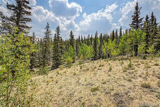 360 Palomino Drive Jefferson, CO 80456