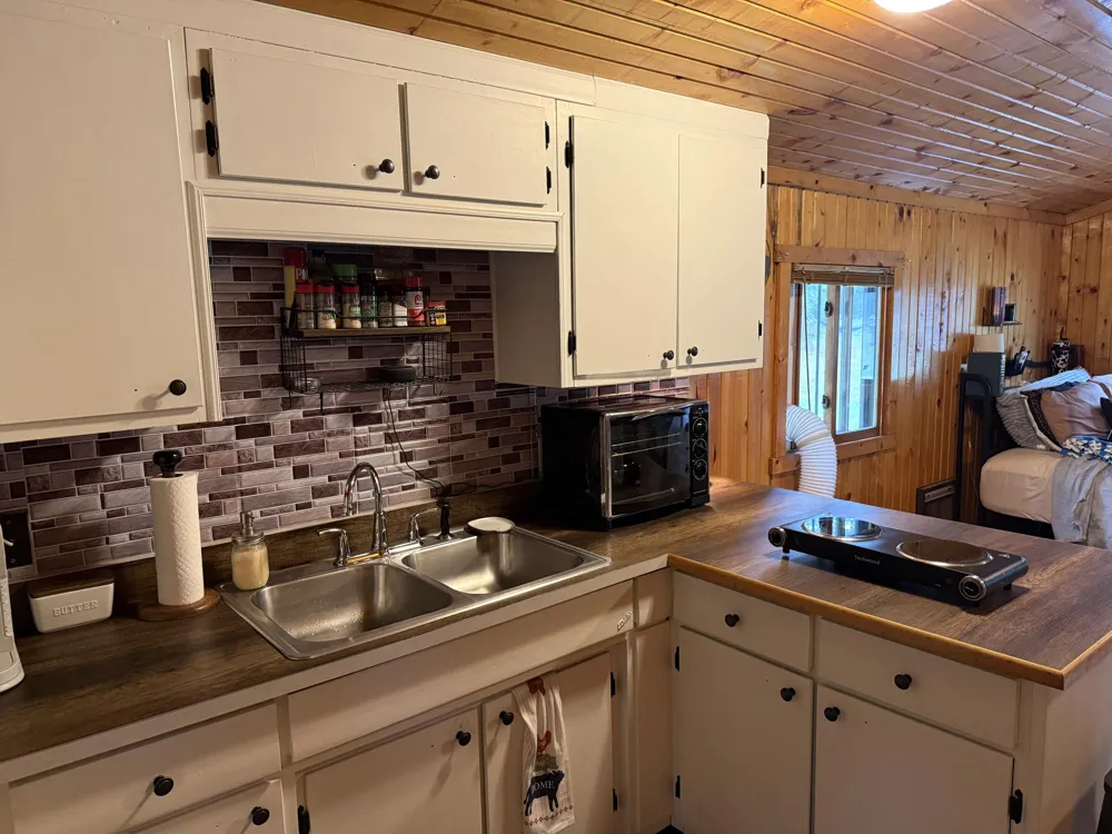 11691 Killdeer Drive Belvidere Township, MI 48850