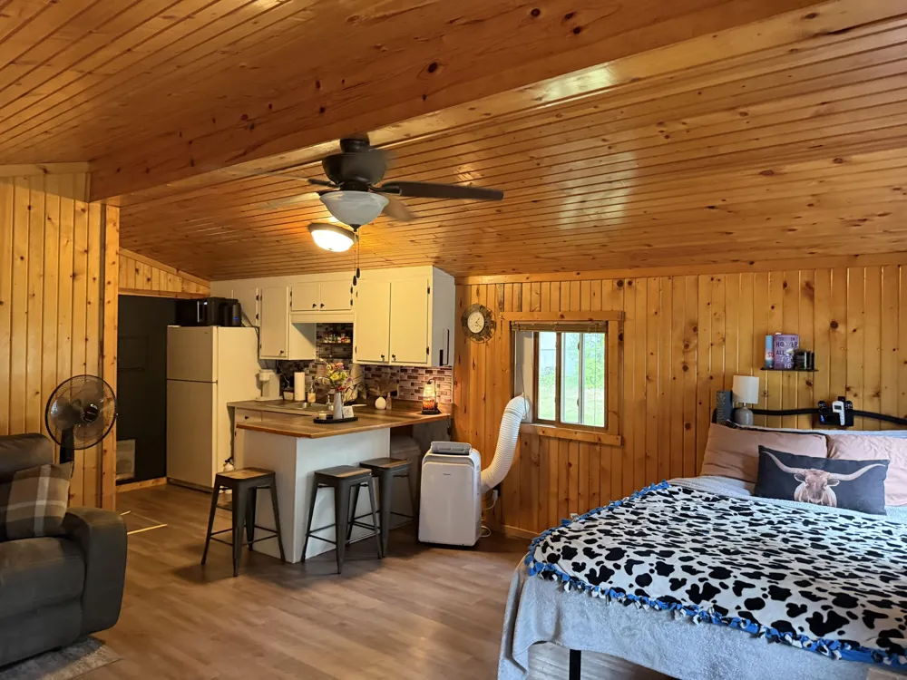 11691 Killdeer Drive Belvidere Township, MI 48850