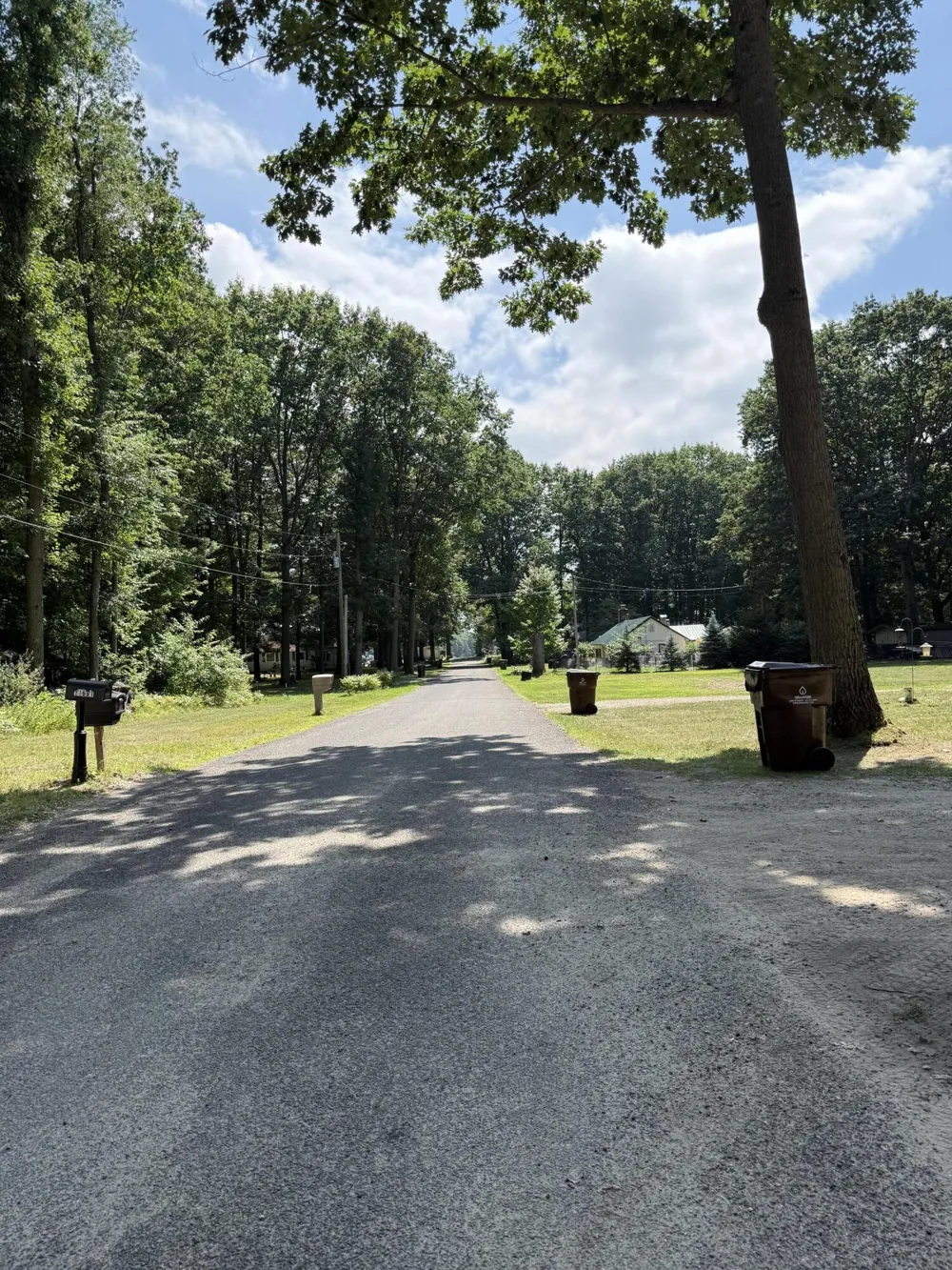 11691 Killdeer Drive Belvidere Township, MI 48850