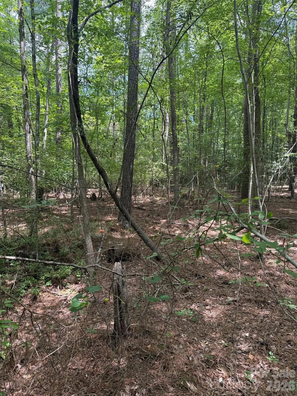 0 Blackwell Street Mount Gilead, NC 27306