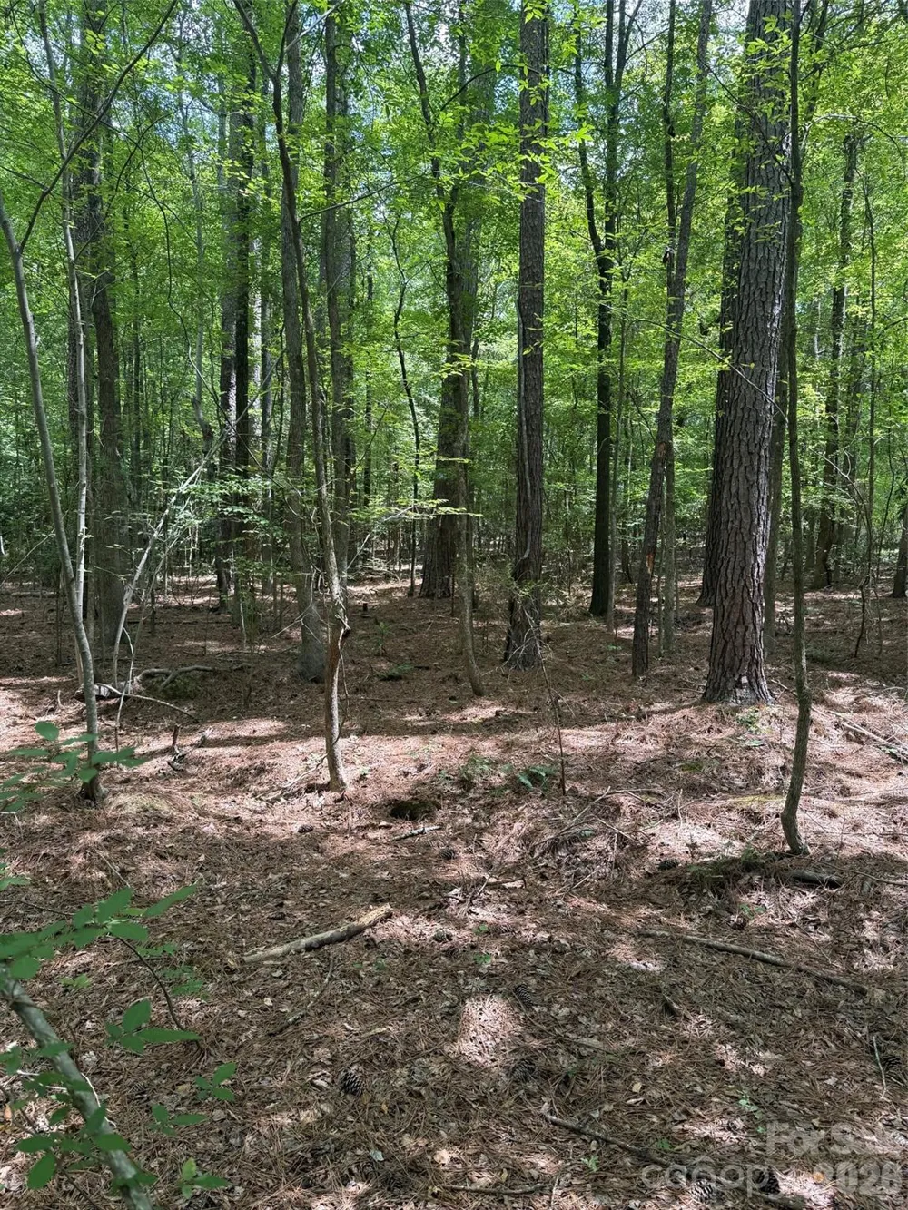 0 Blackwell Street Mount Gilead, NC 27306