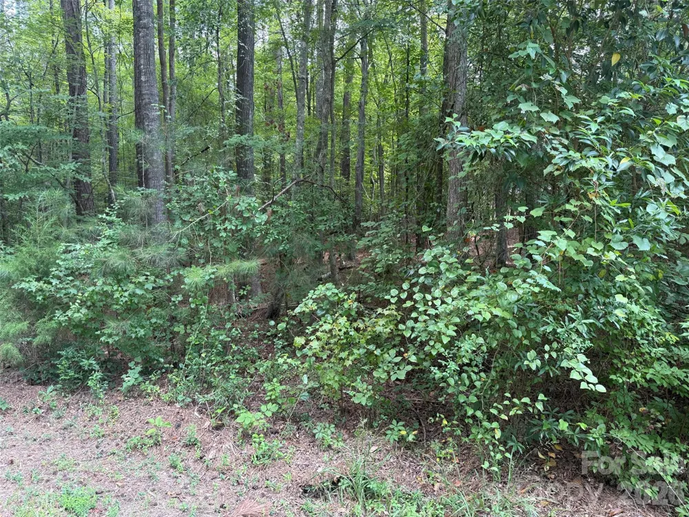 0 Blackwell Street Mount Gilead, NC 27306