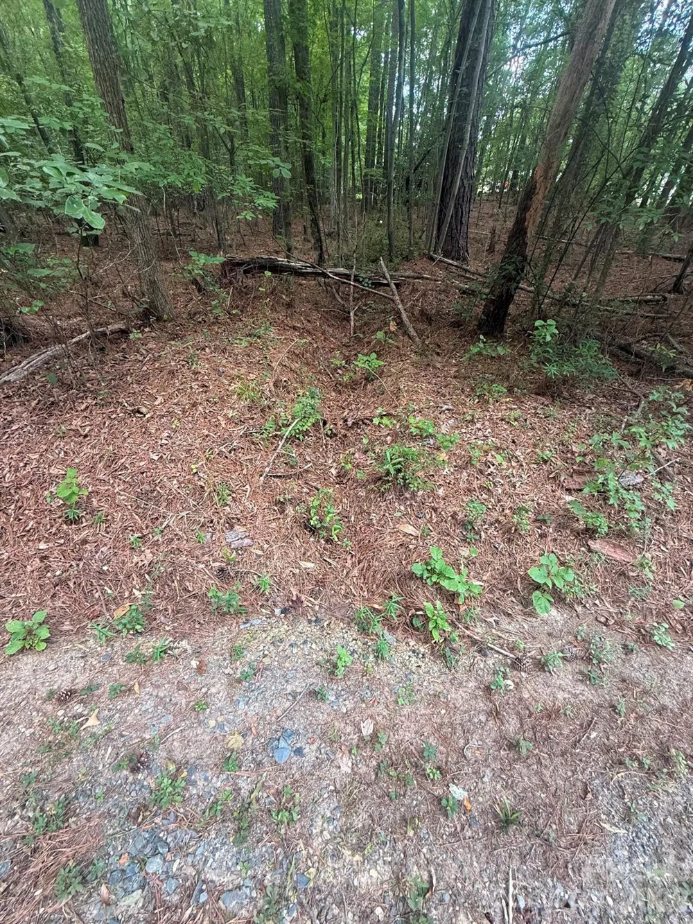 0 Blackwell Street Mount Gilead, NC 27306