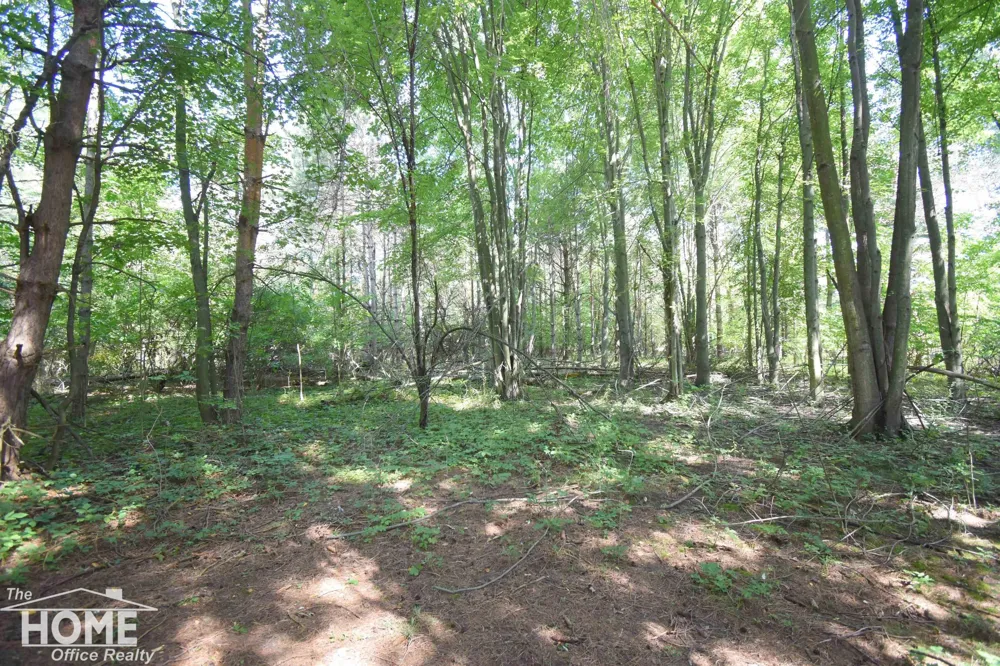 2711 E Hibbard Road Caledonia Charter Township, MI 48817
