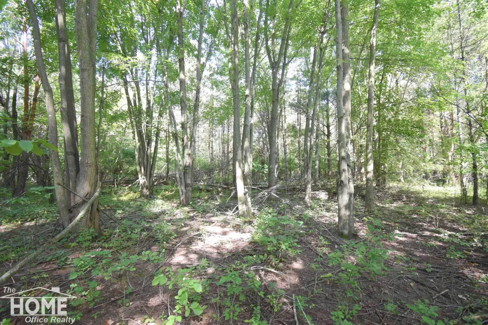 2711 E Hibbard Road Caledonia Charter Township, MI 48817