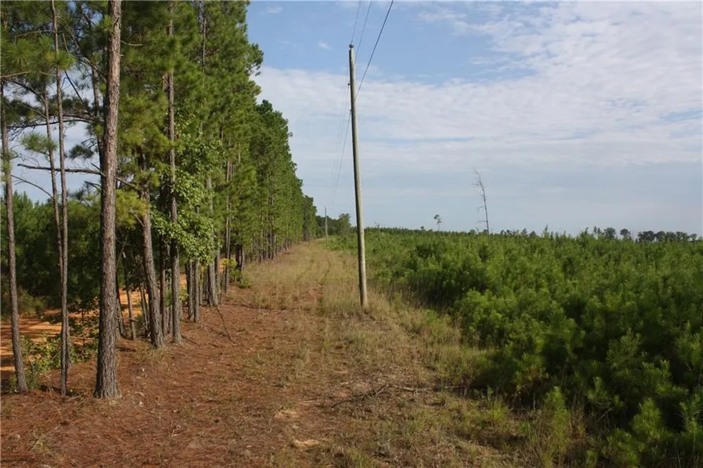 0 Balerma Church Road Sparta, GA 31087