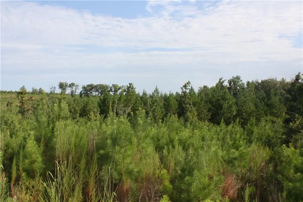 0 Balerma Church Road Sparta, GA 31087