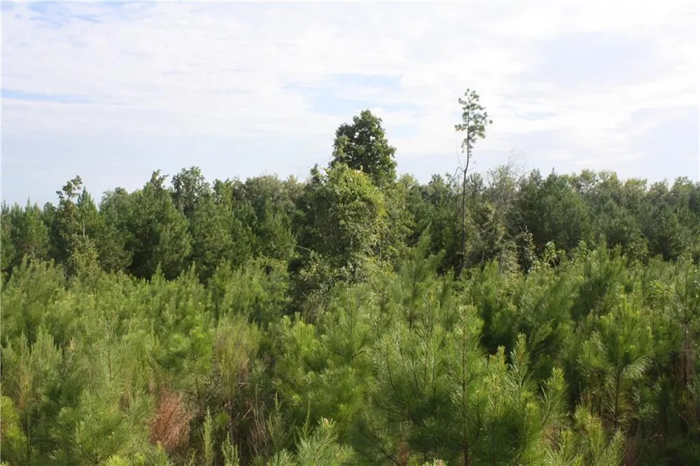 0 Balerma Church Road Sparta, GA 31087