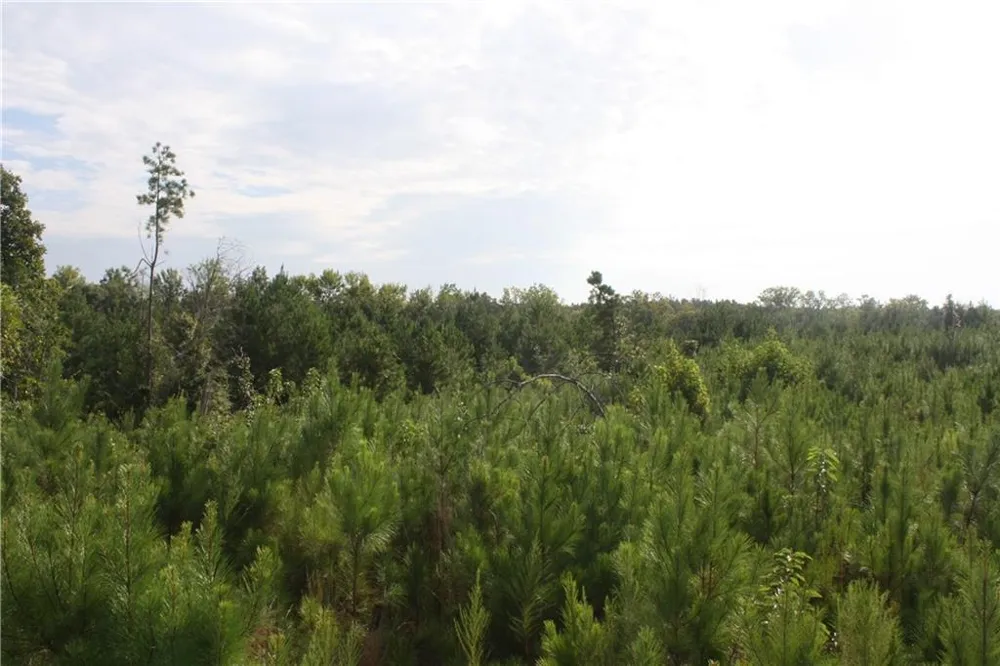 0 Balerma Church Road Sparta, GA 31087
