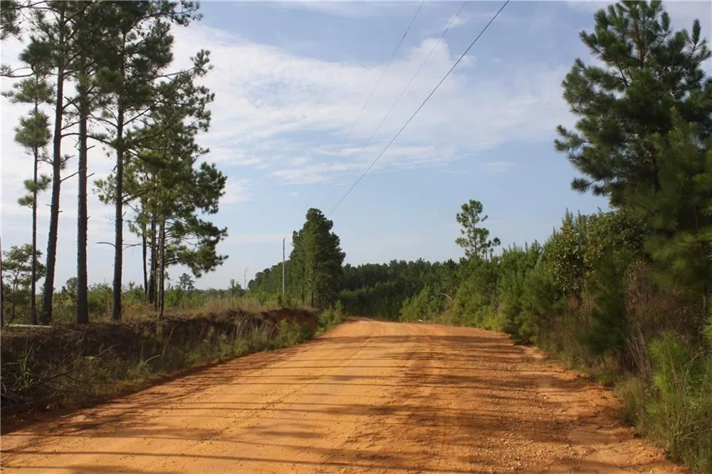 0 Balerma Church Road Sparta, GA 31087