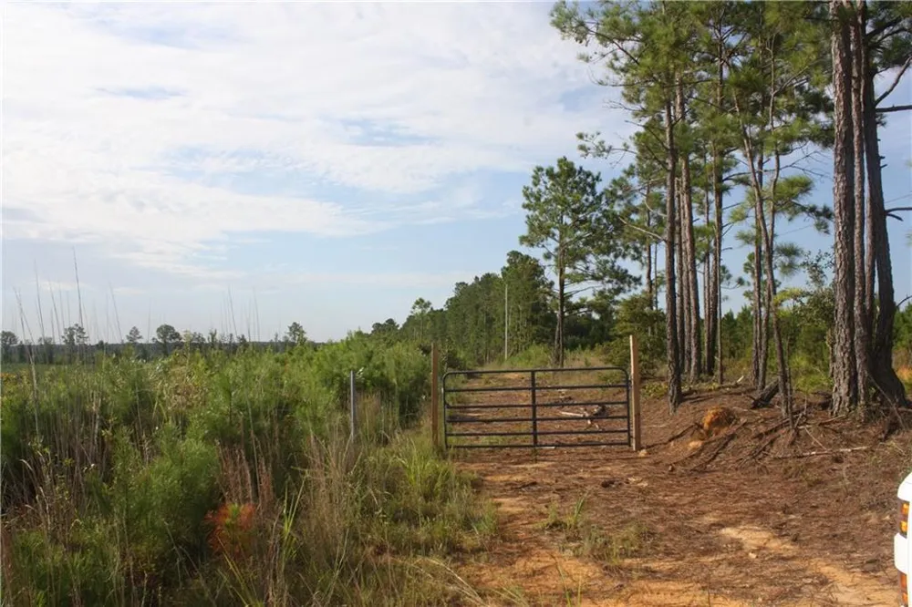 0 Balerma Church Road Sparta, GA 31087