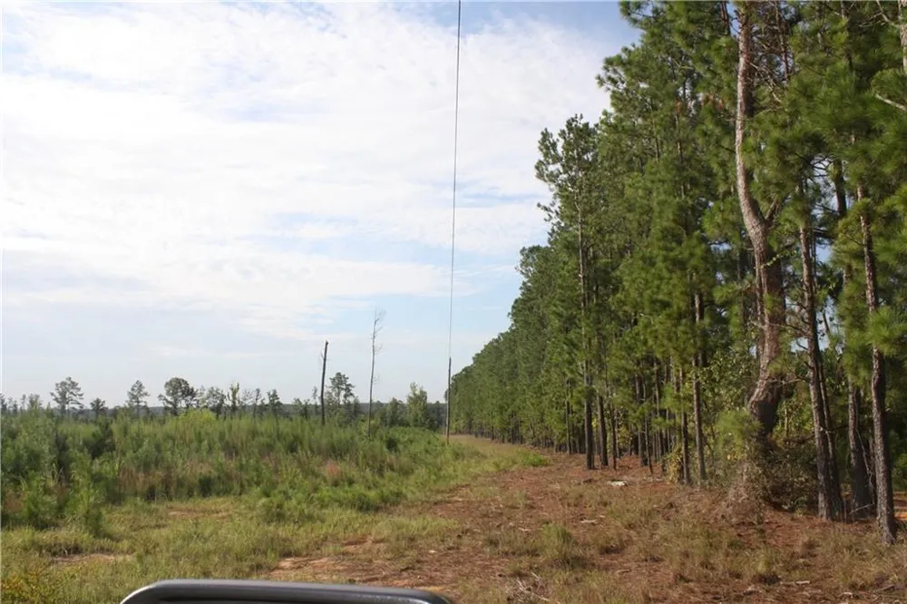 0 Balerma Church Road Sparta, GA 31087