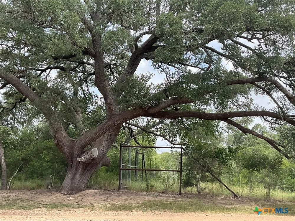 17377 Hwy 87 Nursery, TX 77976
