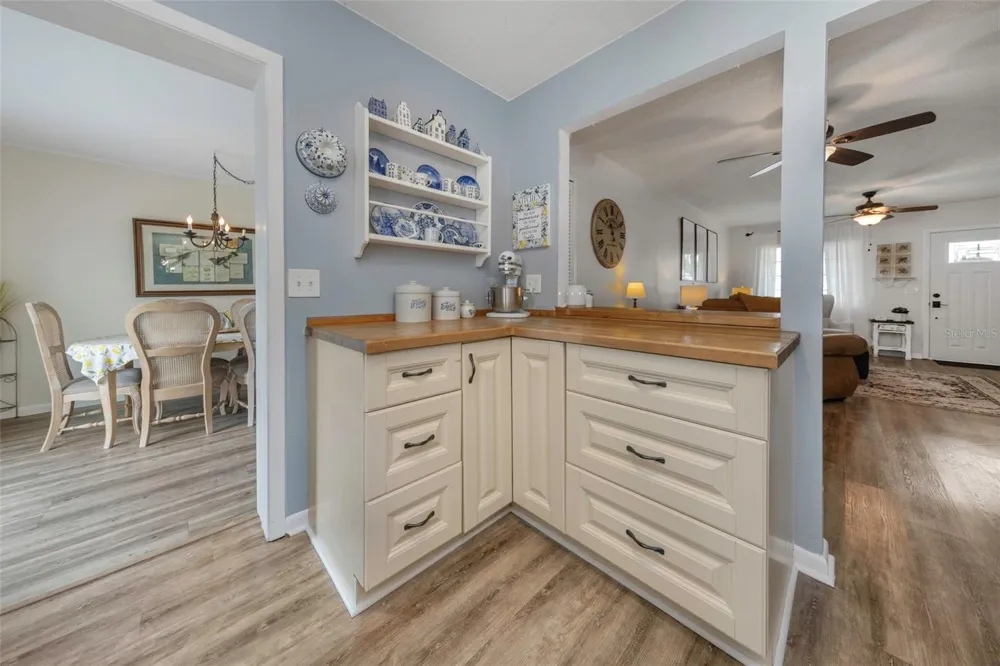 9919 TULIP STREET Pinellas Park, FL 33782