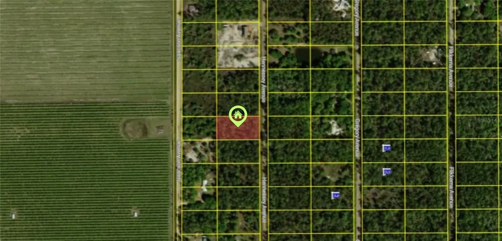 10515 HENNESSEY AVENUE Hastings, FL 32145