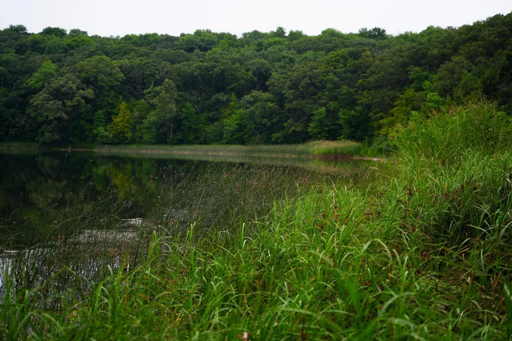 35058 State Highway 210 Battle Lake, MN 56515