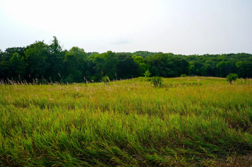 35058 State Highway 210 Battle Lake, MN 56515