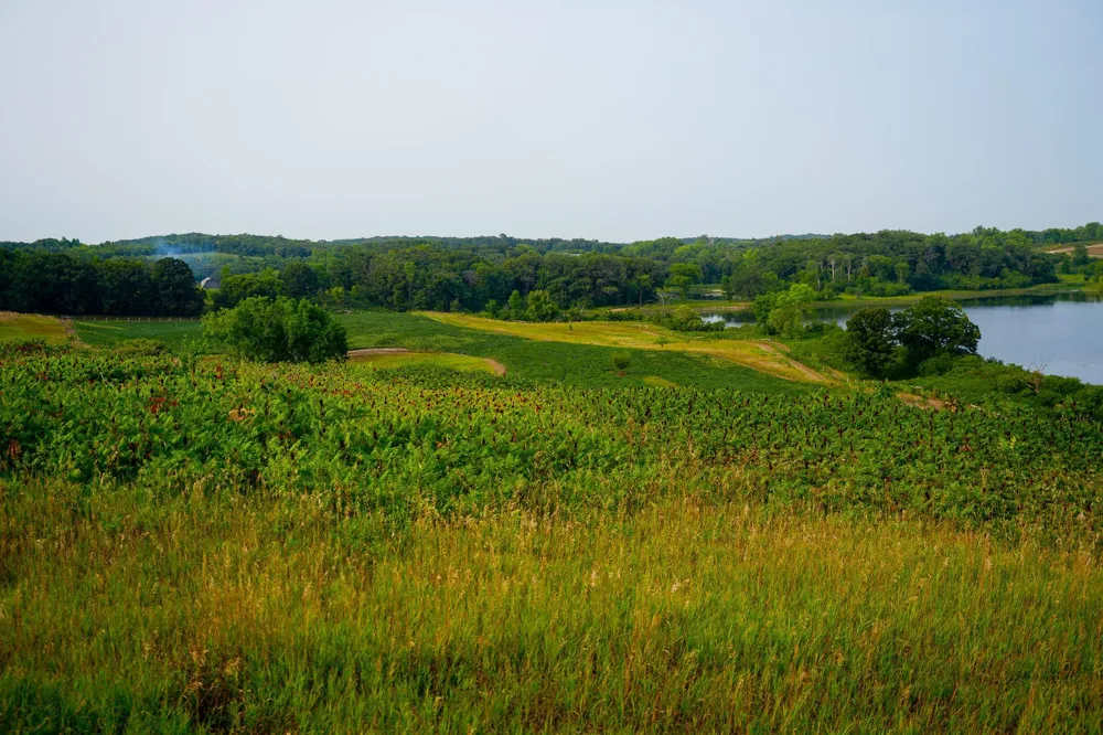 35058 State Highway 210 Battle Lake, MN 56515