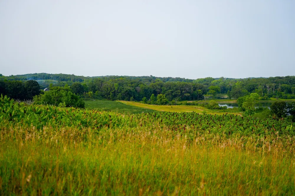 35058 State Highway 210 Battle Lake, MN 56515