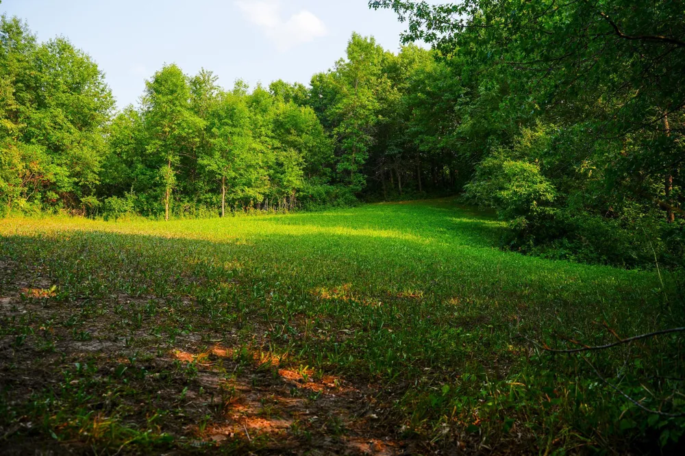 35058 State Highway 210 Battle Lake, MN 56515