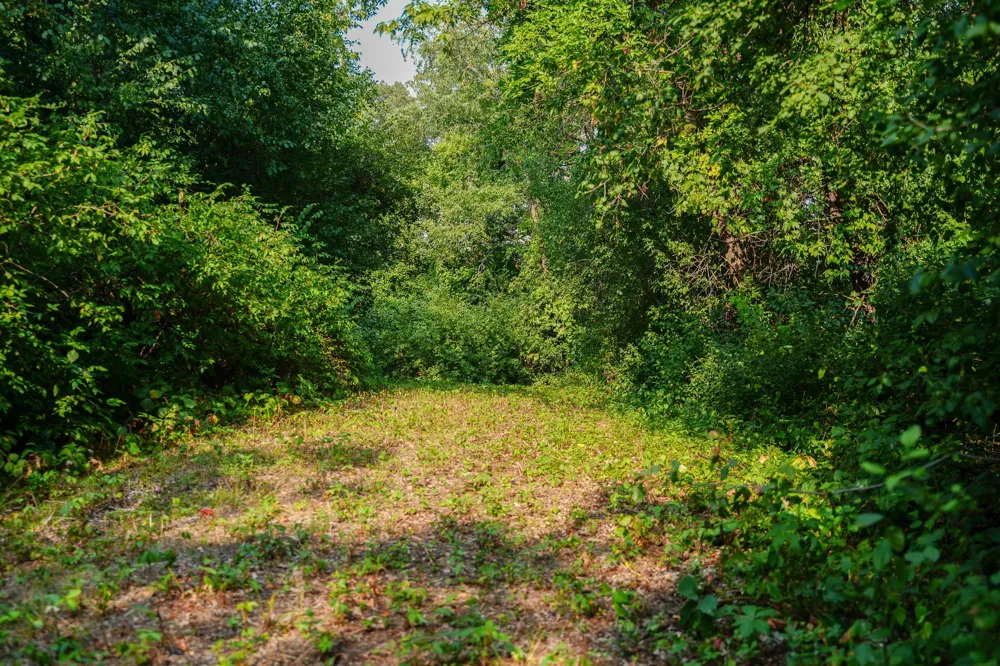 35058 State Highway 210 Battle Lake, MN 56515
