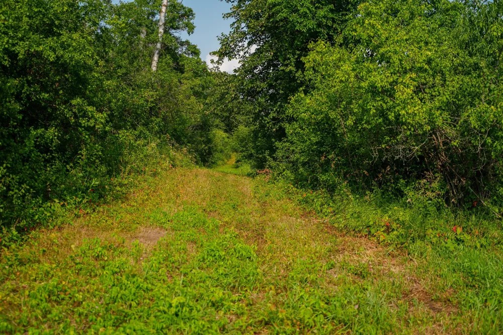 35058 State Highway 210 Battle Lake, MN 56515