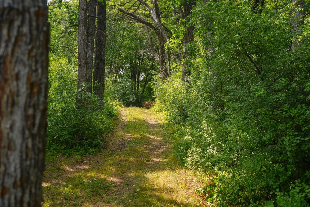 35058 State Highway 210 Battle Lake, MN 56515