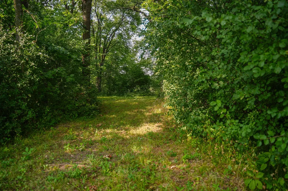 35058 State Highway 210 Battle Lake, MN 56515
