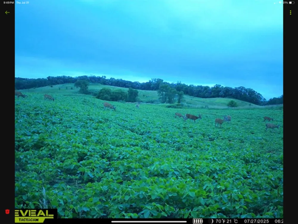 35058 State Highway 210 Battle Lake, MN 56515